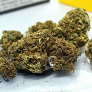 FedTonic - Zitronic Chronic Pure - Indoor Hanfblüten