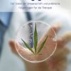 Cannabis gegen Krebs - Der Stand der Wissenschaft und praktische Folgerungen für die Therapie - Buch