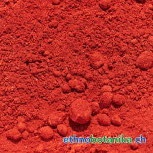 Drachenblut - Croton lechlerie - Rohstoff