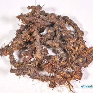 Piri Piri - Cyperus articulatus - Rohstoff