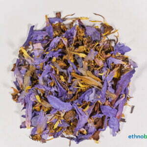 Nymphaea caerulea 03