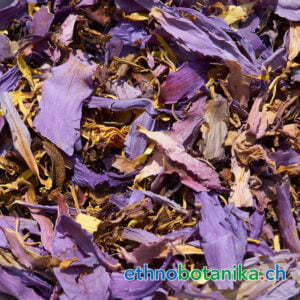 Blauer Lotus - Nymphaea nouchali var. caerulea - Rohstoff