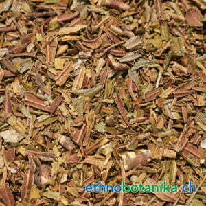 Alpenrose - Rhododendron ferrugineum - Rohstoff