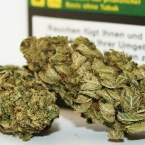 Orange Dream - Zitronic Chronic - Pure Indoor Hanfblüten