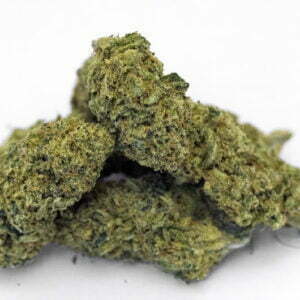 Rasta Mango - Holy-Shit - Biologisch - Indoor Hanfblüten